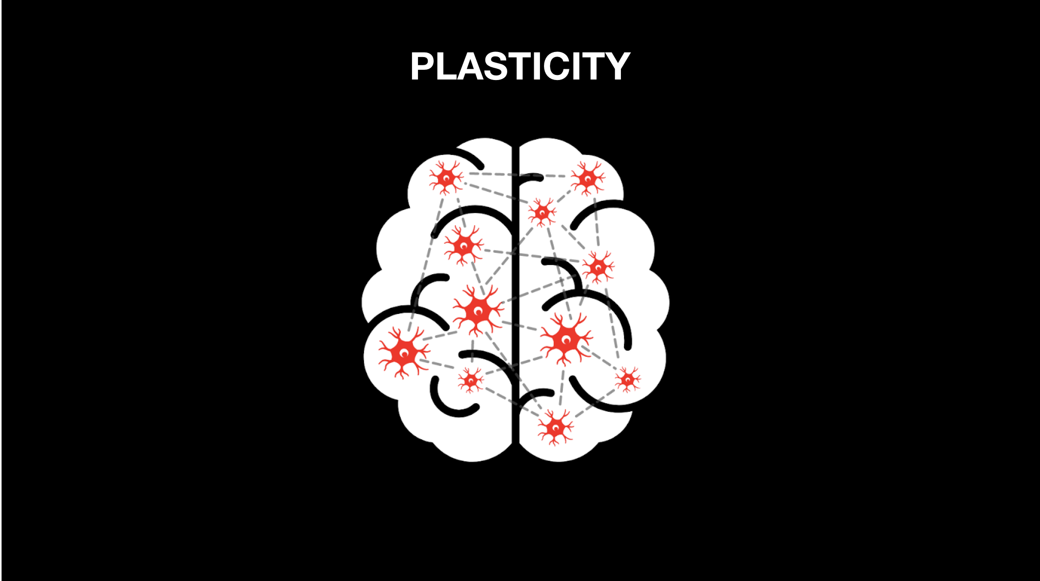 Brain diagram showing plasticity
